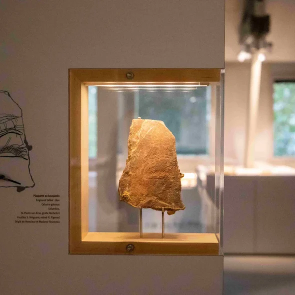 Les collections archéologiques