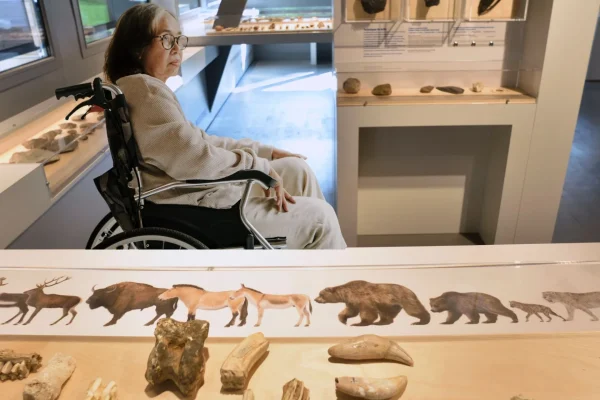 Accessibilité