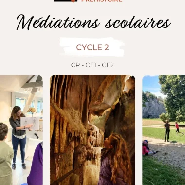 Cycle 2