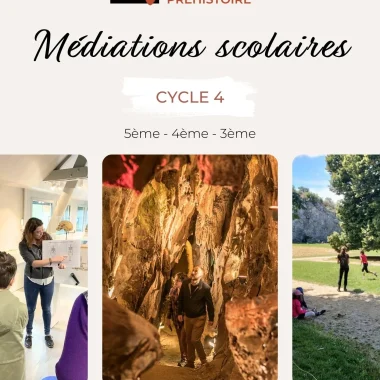 Cycle 4