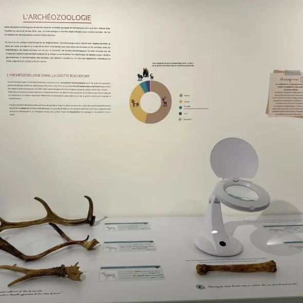 L’exposition temporaire