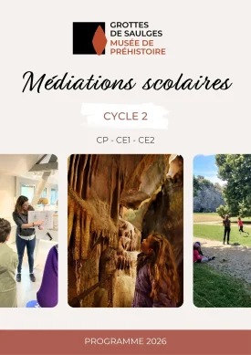 Cycle 2