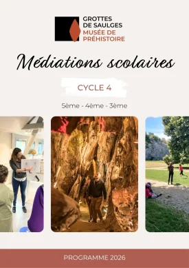 Cycle 4