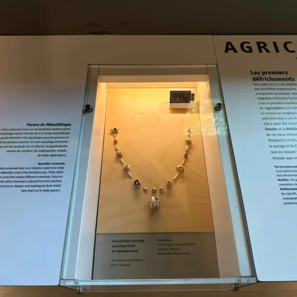 Les collections archéologiques